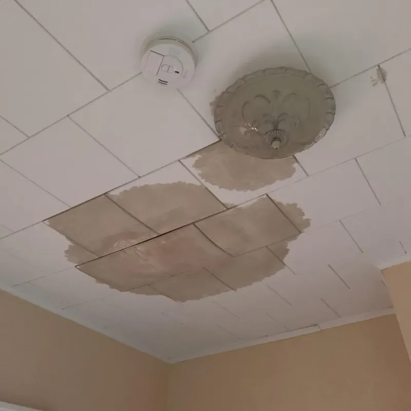 Ceiling Water Damage Repair in Franklin County, NC