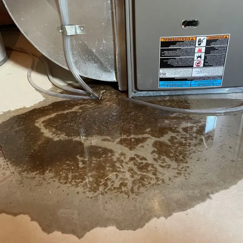 Pipe Burst and Leak Restoration in Franklin County, NC