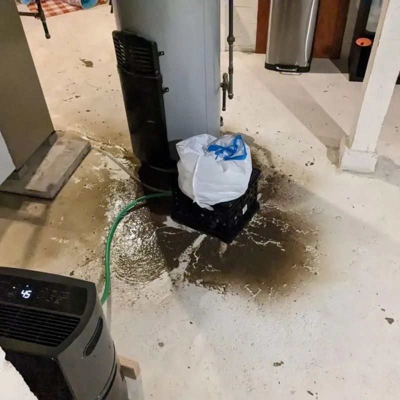 Sewage Backup Cleanup Service in Franklin County, NC